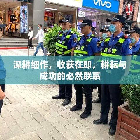深耕细作，收获在即，耕耘与成功的必然联系