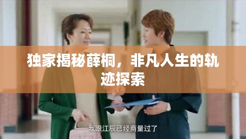 独家揭秘薛桐，非凡人生的轨迹探索