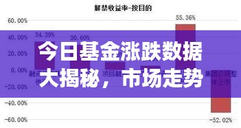 今日基金涨跌数据大揭秘，市场走势深度分析与投资建议！