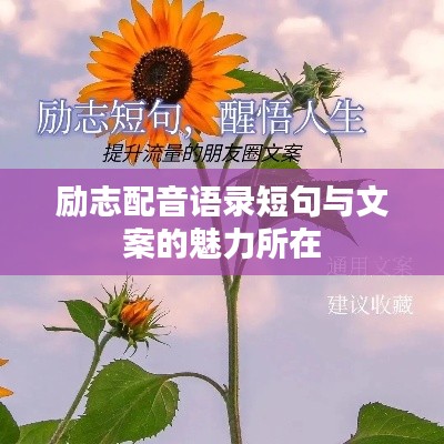 励志配音语录短句与文案的魅力所在
