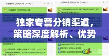 独家专营分销渠道，策略深度解析、优势亮点及挑战应对之道