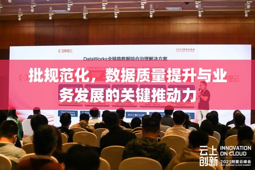 批规范化，数据质量提升与业务发展的关键推动力