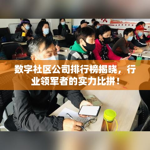 数字社区公司排行榜揭晓，行业领军者的实力比拼！