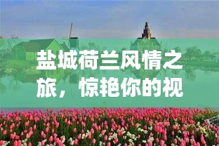 盐城荷兰风情之旅，惊艳你的视觉盛宴！