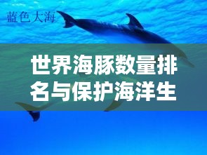 世界海豚数量排名与保护海洋生态的重要性