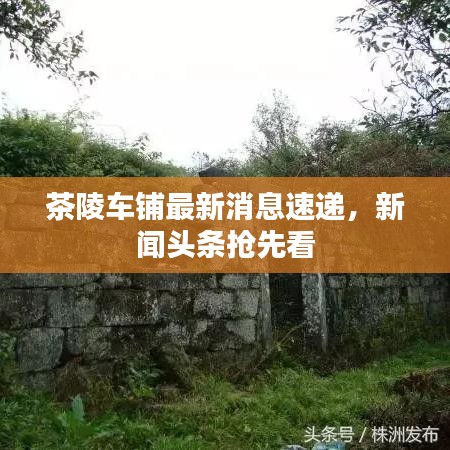 茶陵车铺最新消息速递，新闻头条抢先看