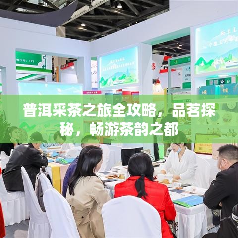 普洱采茶之旅全攻略，品茗探秘，畅游茶韵之都