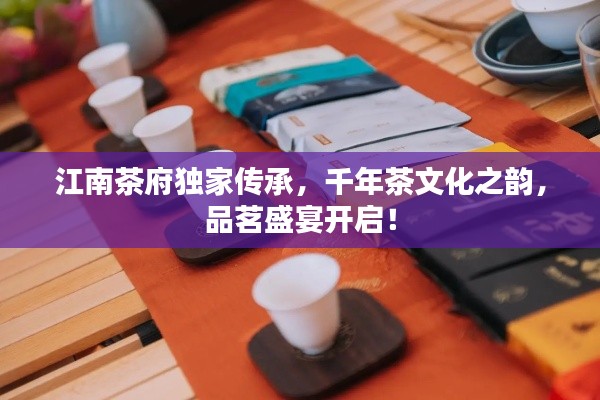 江南茶府独家传承，千年茶文化之韵，品茗盛宴开启！