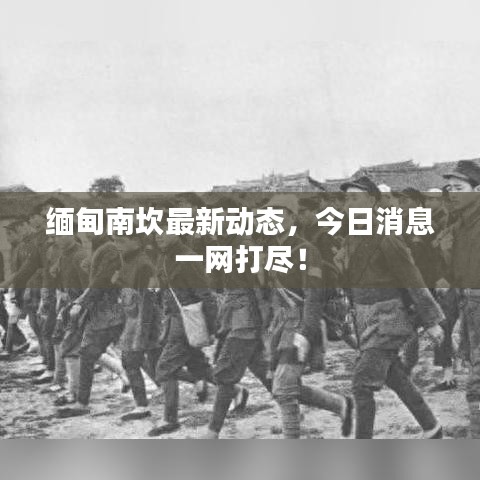 缅甸南坎最新动态，今日消息一网打尽！