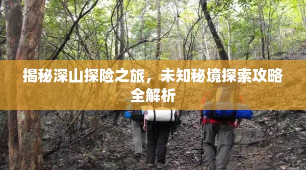 揭秘深山探险之旅，未知秘境探索攻略全解析