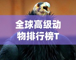 全球高级动物排行榜TOP，神秘生物一览
