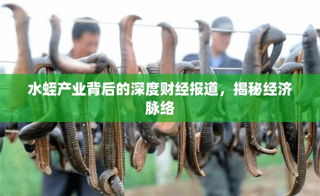首鼠两端 第2页