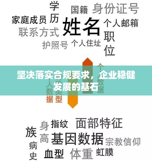 坚决落实合规要求，企业稳健发展的基石