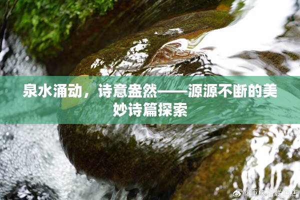 泉水涌动，诗意盎然——源源不断的美妙诗篇探索
