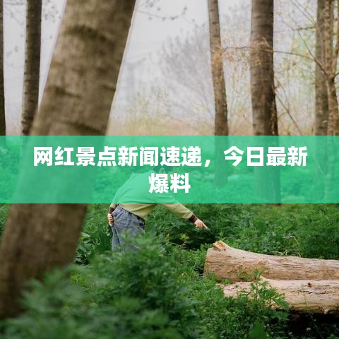 网红景点新闻速递，今日最新爆料