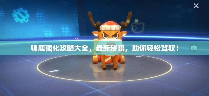 驯鹿强化攻略大全，最新秘籍，助你轻松驾驭！