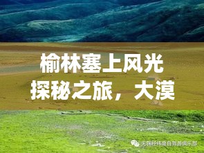 admin