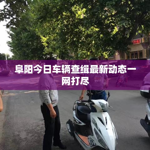 阜阳今日车辆查缉最新动态一网打尽