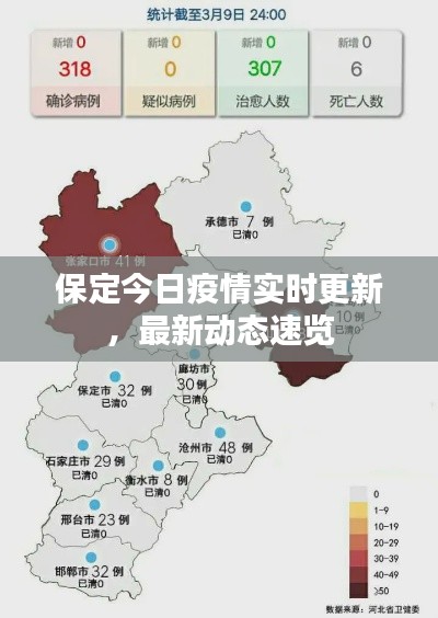 保定今日疫情实时更新，最新动态速览