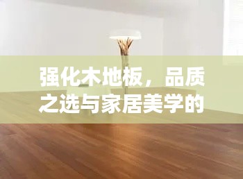 强化木地板，品质之选与家居美学的百度优选结合之道