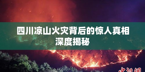 四川凉山火灾背后的惊人真相深度揭秘