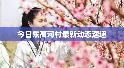 今日东高河村最新动态速递