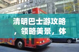 清明巴士游攻略，领略美景，体验传统文化魅力