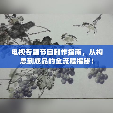 电视专题节目制作指南，从构思到成品的全流程揭秘！