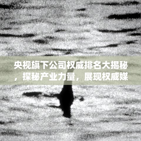 央视旗下公司权威排名大揭秘，探秘产业力量，展现权威媒体影响力
