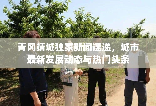 青冈靖城独家新闻速递，城市最新发展动态与热门头条