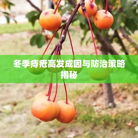 冬季痔疮高发成因与防治策略揭秘