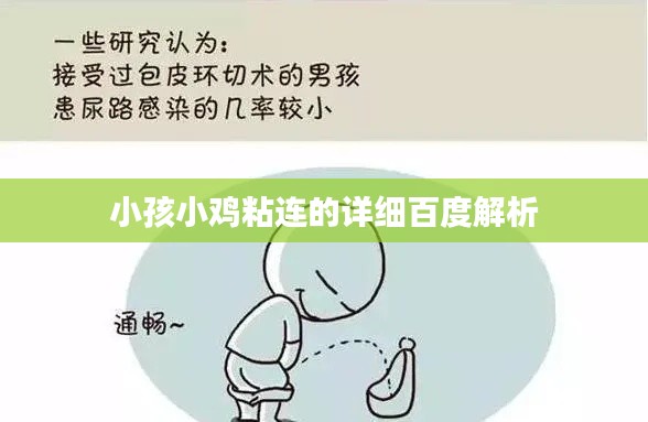 小孩小鸡粘连的详细百度解析