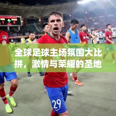 翰飞戾天