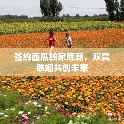 签约西瓜独家底薪，双赢联姻共创未来