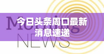 今日头条周口最新消息速递