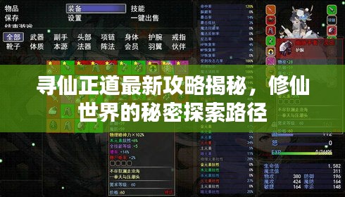 寻仙正道最新攻略揭秘，修仙世界的秘密探索路径