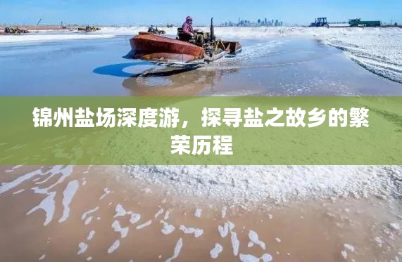 锦州盐场深度游，探寻盐之故乡的繁荣历程