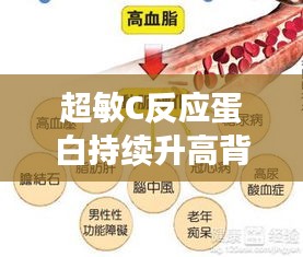 超敏C反应蛋白持续升高背后的原因与潜在影响