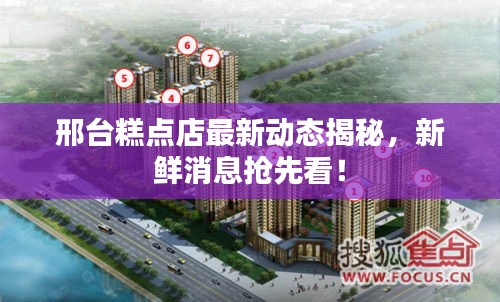 邢台糕点店最新动态揭秘，新鲜消息抢先看！