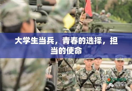大学生当兵，青春的选择，担当的使命