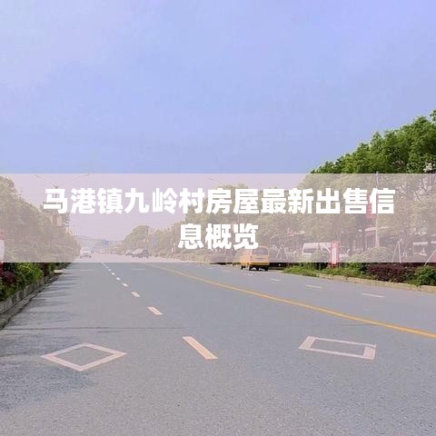 马港镇九岭村房屋最新出售信息概览