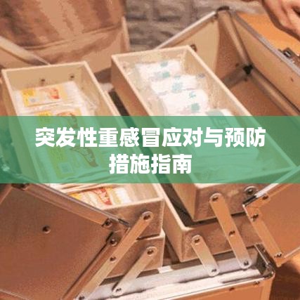突发性重感冒应对与预防措施指南