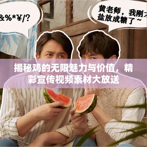 揭秘鸡的无限魅力与价值，精彩宣传视频素材大放送