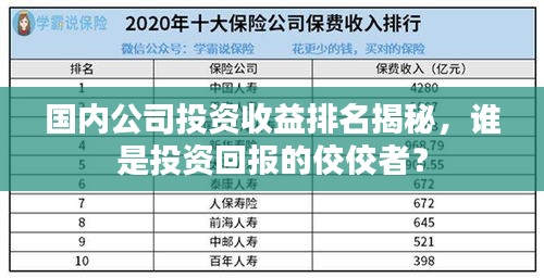 国内公司投资收益排名揭秘，谁是投资回报的佼佼者？