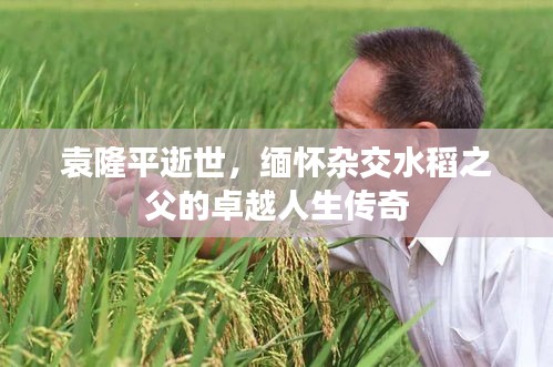 还淳返朴 第2页