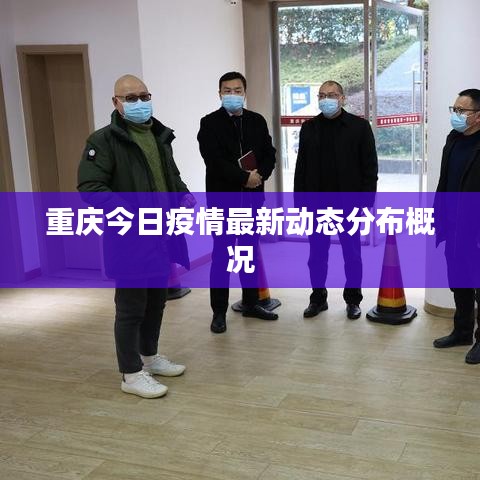 重庆今日疫情最新动态分布概况