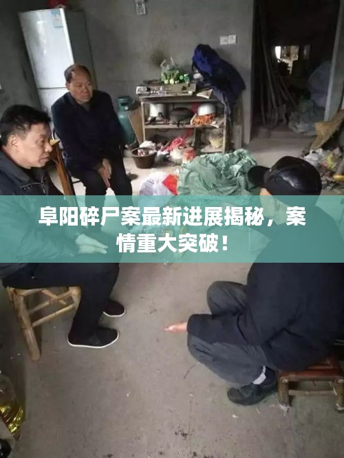 阜阳碎尸案最新进展揭秘，案情重大突破！