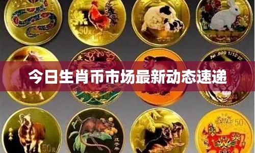 今日生肖币市场最新动态速递