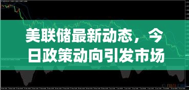 美联储最新动态，今日政策动向引发市场强烈反应
