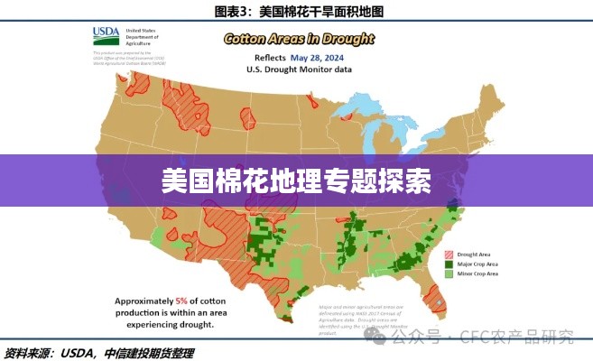 美国棉花地理专题探索